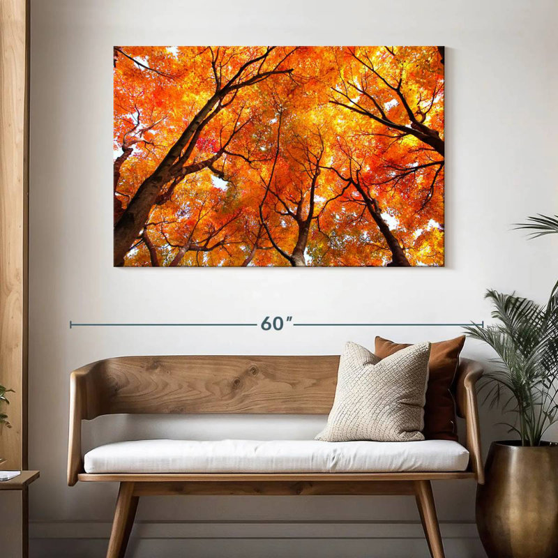 Alvord Maple Tree Autumn Canopy
