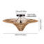 Alayanna Ceiling Light 1-Light, 23.62 cm