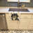 Black and Tan Pekingese Coffee Bar Kitchen Towel-1168063453