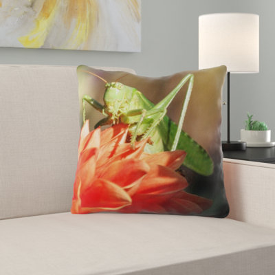 Coussin sauterelle