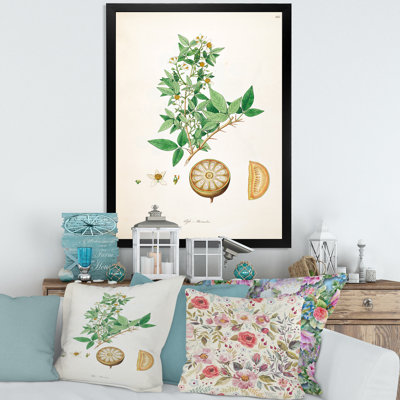 «Vintage Plant Life X», peinture sur toile