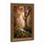 Toile dorée à travers un arbre antique sur un ruisseau moussu, art mural-133485976