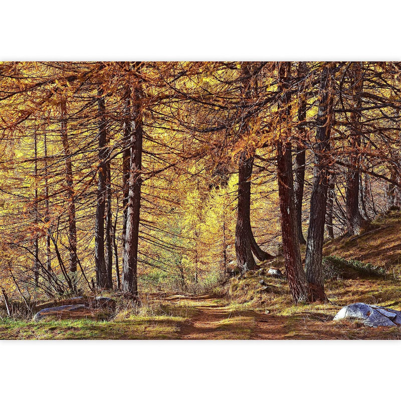 Murale forêt d'automne à feuilles d'arbres jaunes, L 96 po x l 66 po