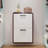 Shoe Cabinet , Wall Mounted Shoe Organizer With 2 Flip Drawers-1692993841-1705062258