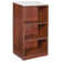 Nebil Standard Bookcase