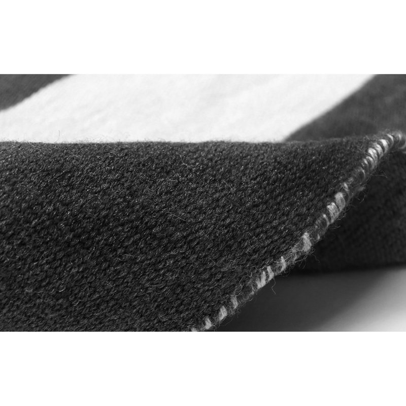 Tapis intérieur / extérieur noir tissé à plat Salley, Rectangle 2 pi x 3 pi