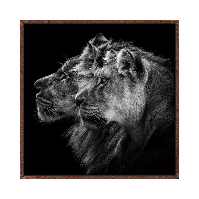 Lion And Lioness Portrait by Laurent Lothare Dambreville - Print on Canvas, Classic Brown Wood Framed
