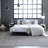Indoor Rug-86184013