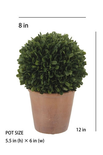 12" Artificial Boxwood Plant in Round Pot, 12 in x 8 in