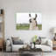 Alpaga pasture, portrait, paysage contemporain contemporain, art mural-129022147