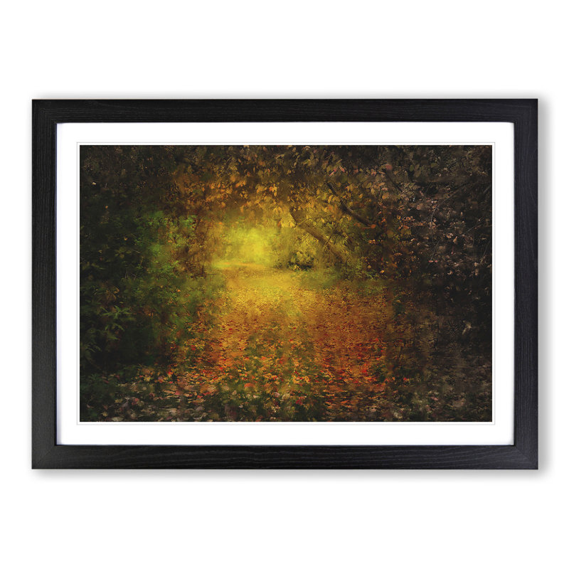 Autumn Forest Vol.5 - Picture Frame Graphic Art, 36cm H x 48cm W x 2cm D, Black Framed