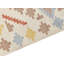 Belvedere Southwestern Cotton Hand Woven Area Rug-2079873462
