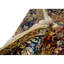 Sona Oriental Area Rug