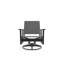 Wexler Outdoor Swivel Lounge Chair-1102391100-1099678812