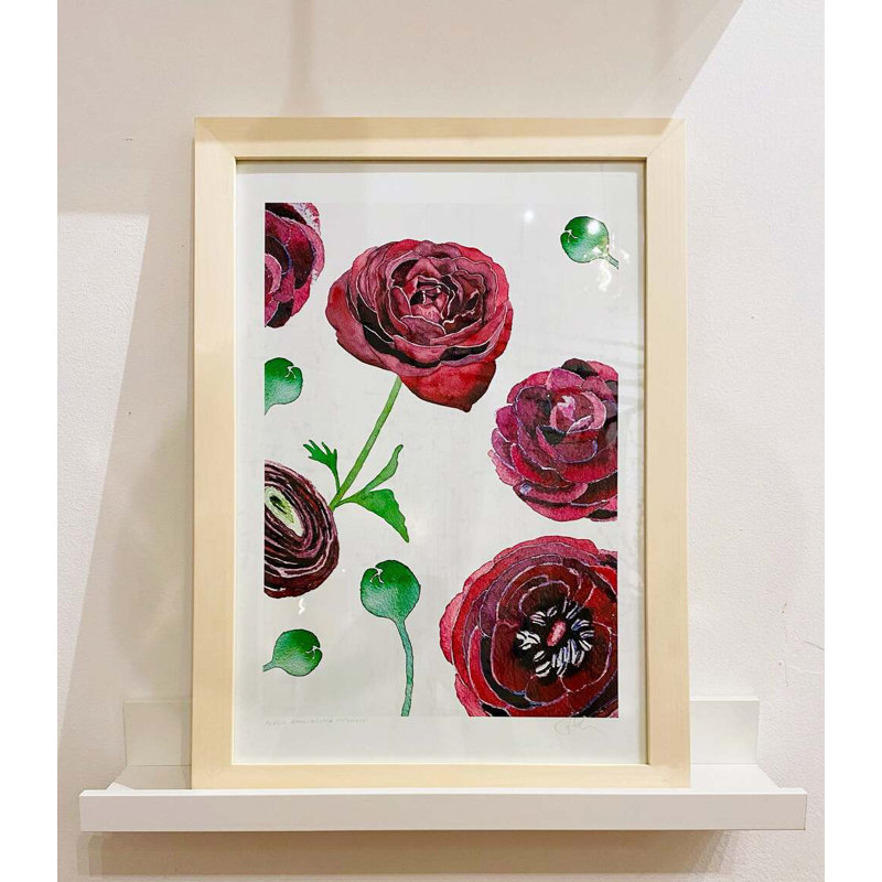 Black Ranunculus On Snow Print by Jessica Hollander, 22" H x 17" W x 0.1" D
