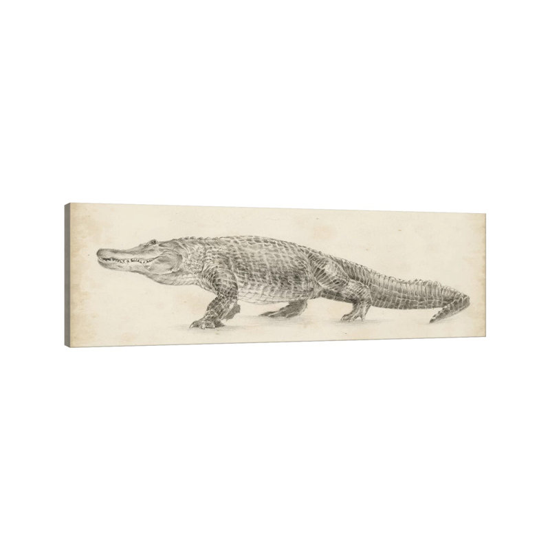 Ethan Harper Alligator Sketch Wrapped Canvas Art, 12" x 36"