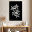 Brampt Starfish Collage-108450403