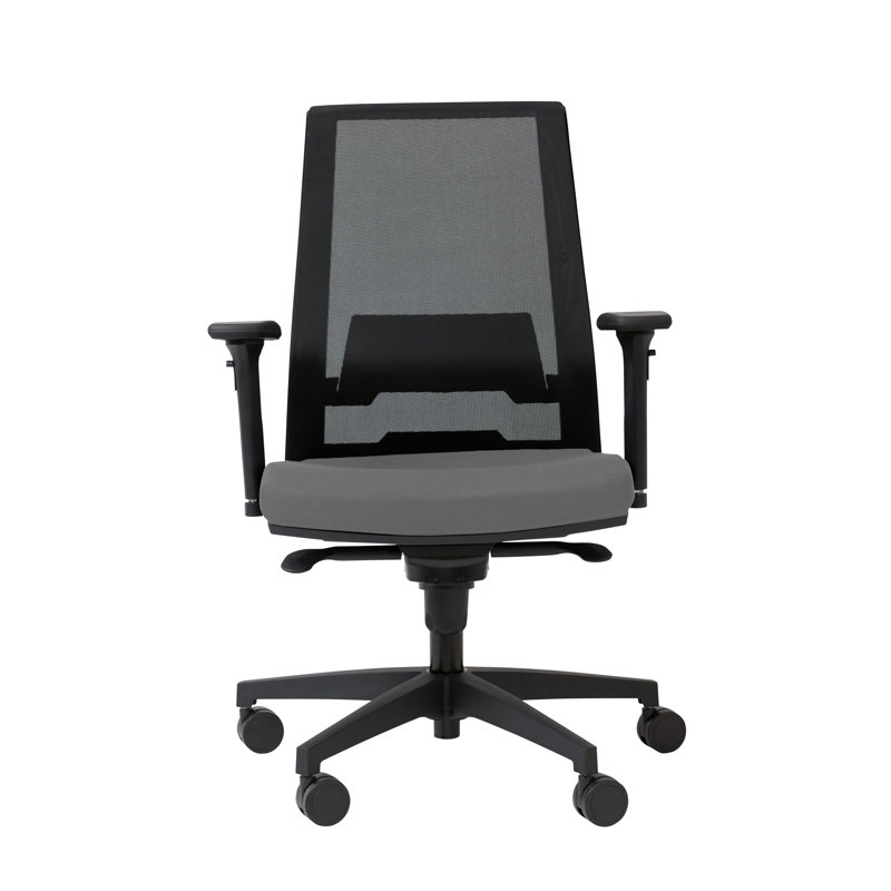 Office Chair, Grey, Adjustable Armrests