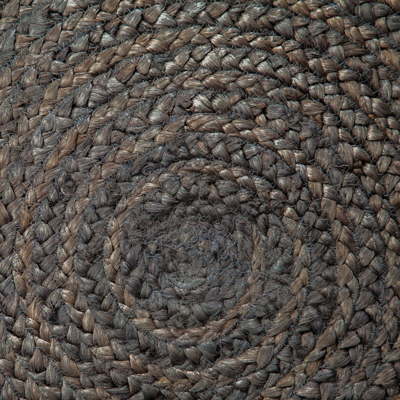 Gage Hand Braided Indoor Rug, Rectangle 8' x 10'