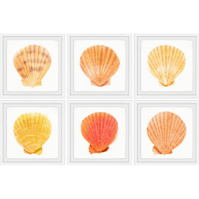 " Sea Shells Wonder II " 6 - Pieces