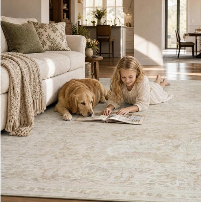 Tapis lavable à la machine pour tapis de salon antidérapant de salle à manger 5 x 7 - beige