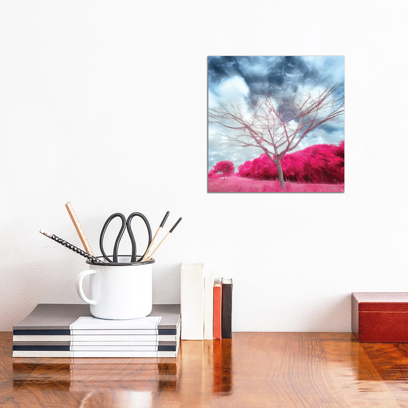 Pygmybirch by Glauco Meneghelli - Wrapped Canvas Painting, 30.48 cm H x 30.48 cm W