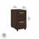 Kaneki 16'' Wide 2 -Drawer Mobile File Cabinet