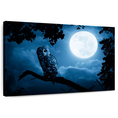 Brampt Watchful Night Owl