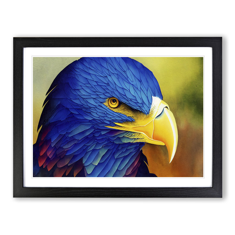 Eagle Bird Watercolour Vol.8 - Single Picture Frame Print, Black Frame, 46cm H x 64cm W x 2cm D