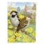 Drapeau de jardin Faulkwoods House Sparrows