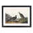 Black Framed selected