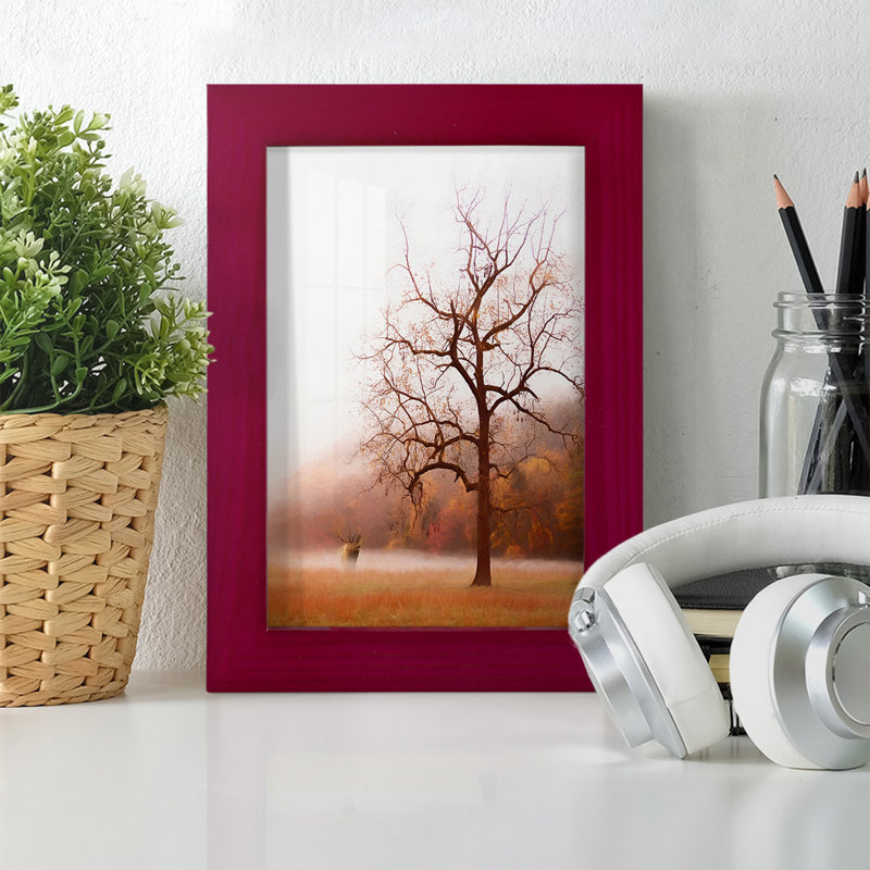Photographie, étude, élan dans la brume, toile encadrée de qualité supérieure - prête à être accrochée, Papier encadré rouge