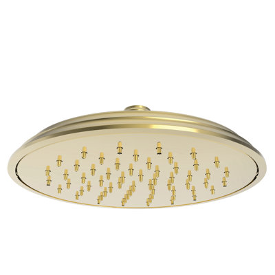 Rainfall Shower Head