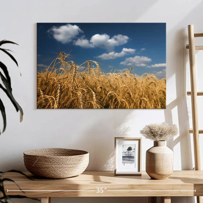 Harnek Rye Field