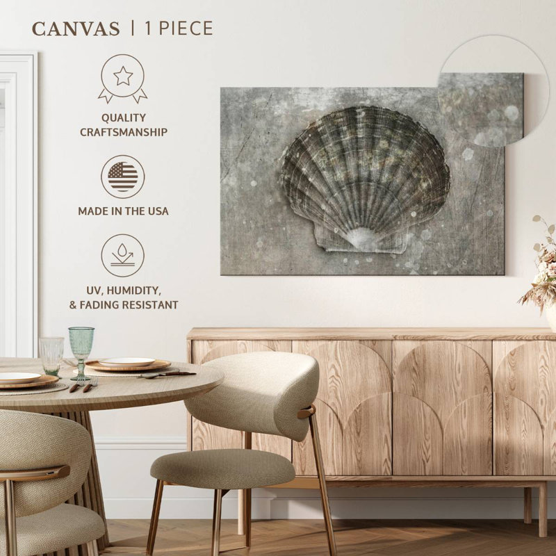 Aletra BW Scallop Seashell, 8" H x 12" W