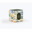 The High Peaks of the Adirondacks Forest 9.5 Oz Glass Candle]