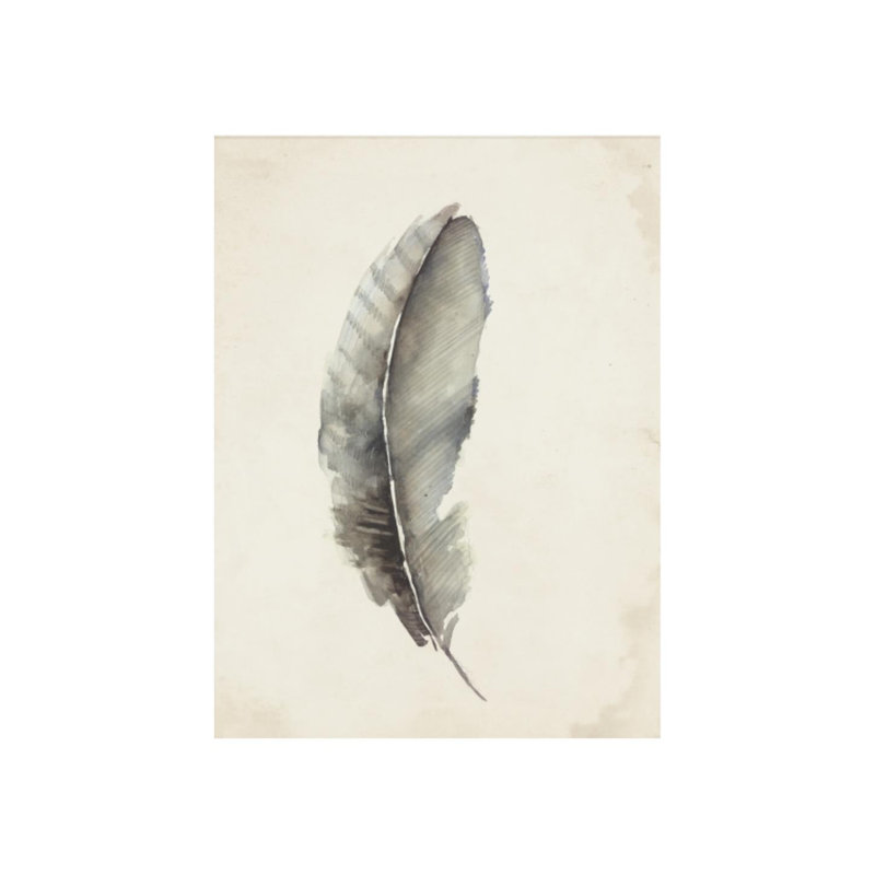 Charcoal Feathers III Print by Beverly Fuller, 41" H x 30" W, Glass Coat