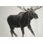 «Walking Moose» - Toile encadrée décorations de vacances