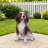 Lifelike Beagle Dog Statue