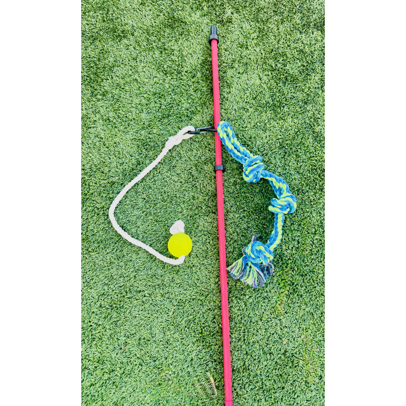 Remorqueur avec corde et balle - Jouet interactif pour chien pour l'agilité et l'exercice