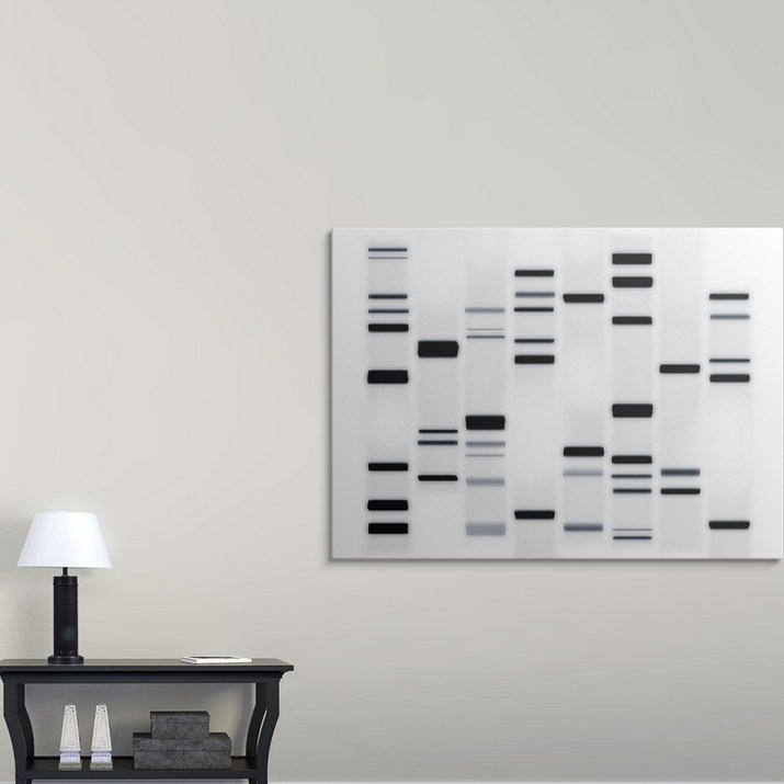 «ADN Art» par Francy, impression en noir et blanc, H 35 po x l 48 po x P 1,5 po, Toile