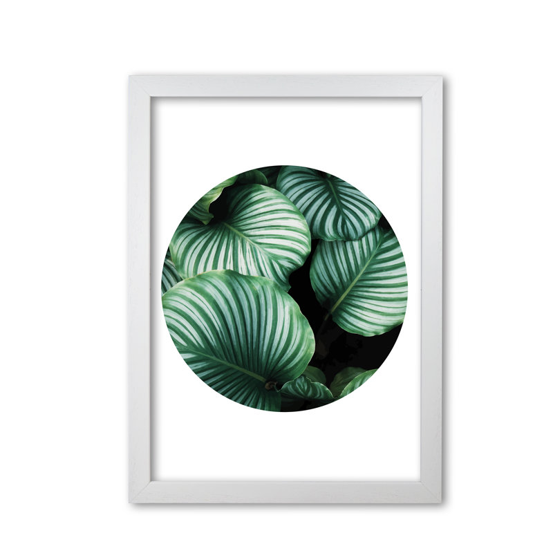 Leaves Circle - Print, White Grain Frame, 42 cm H x 30 cm W x 5 cm D