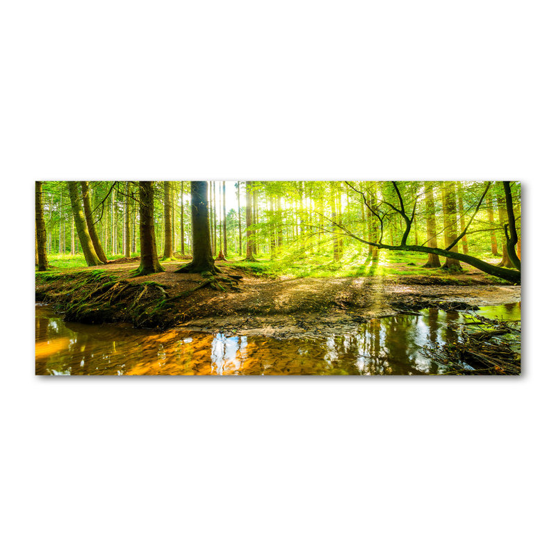 A Waterfall In The Forest - Wrapped Canvas Print, 50cm H x 125cm W x 2cm D, Canvas