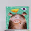 'Pigs Posy Peep' by Janet Nelson Painting Print on Wrapped Canvas-19813985