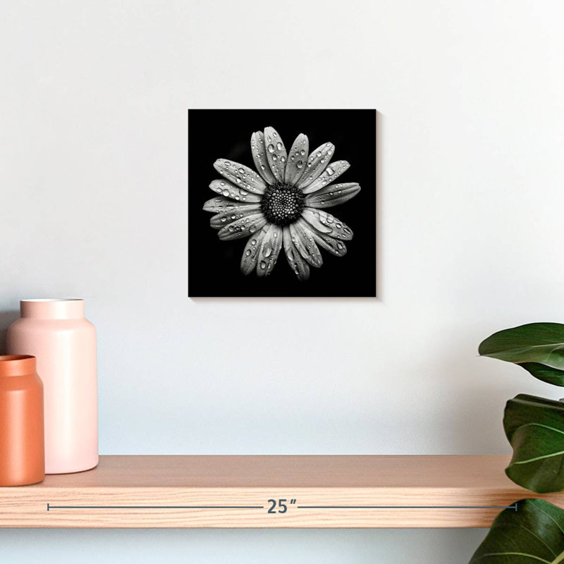 Harnek Backyard Flowers BW I, H 10 po x l 10 po