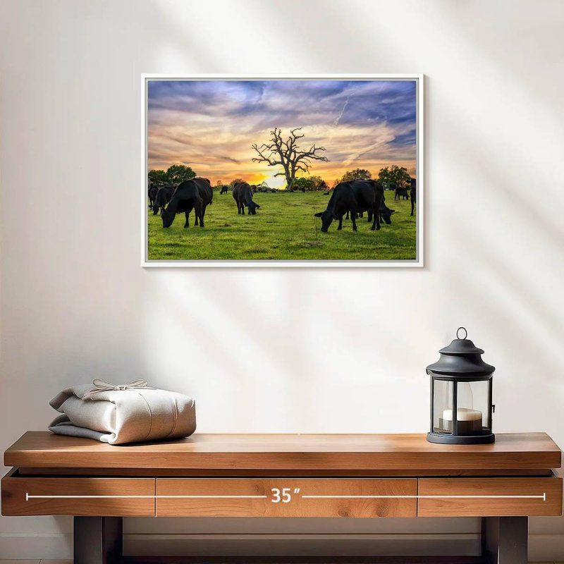 Pâturages Aberdeen Angus, 19 po x 13 po, Cadre flottant blanc