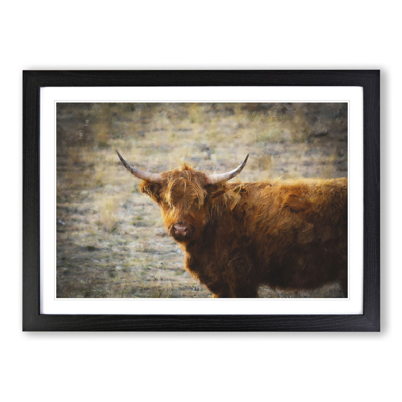 Highland Bull Cow Vol.2 - Framed Print, Black Framed, 36cm H x 48cm W x 2cm D