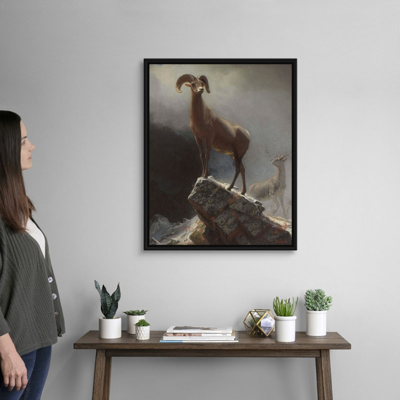 Reproduction d’art sur toile, « OVIS, Montana », « Rocky Mountain Sheep or Big Horn » par Albert (1830-1902) Bierstadt