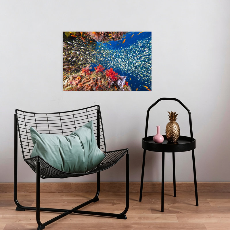 Underwater Fish Swirl Vibrant Fish Nature Ocean Wall Art Print 1 Piece Wrapped Canvas Wall Art, 40.64cm H x 60.96cm W
