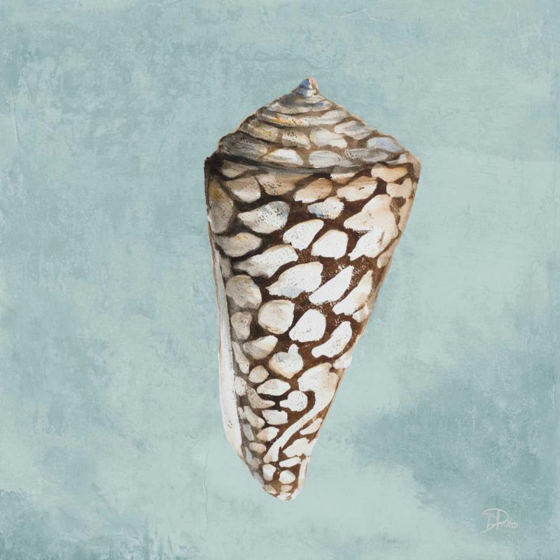 Art sur toile tendue avec la galerie Patricia, "Direct Shell on Teal II", H 15 po x l 15 po